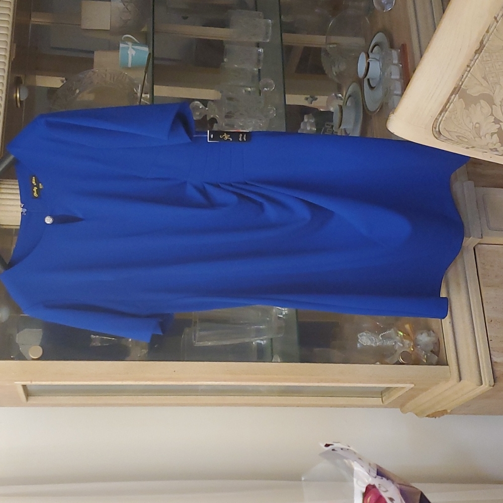 Nwt Gorgeous rhineston dress sz 22 W